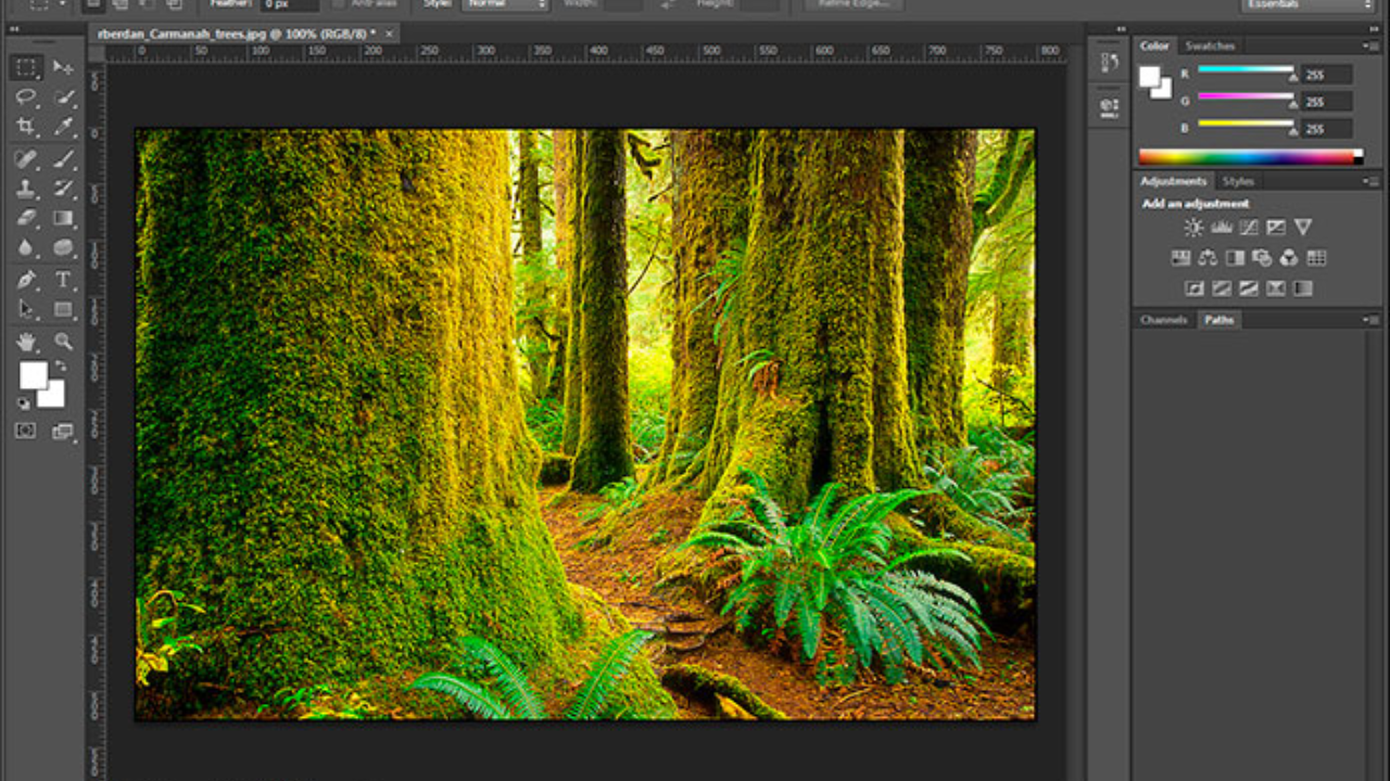Adobe Photoshop CC Download Latest Version Free