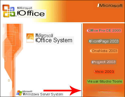 Office 2003 Professional Edition