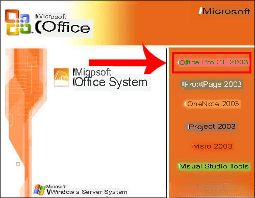 Office 2003 Professional Edition