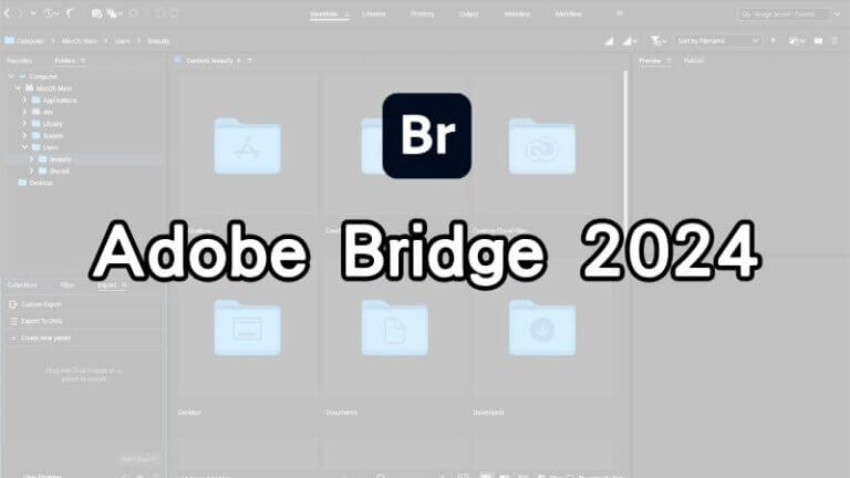 bridge-2024